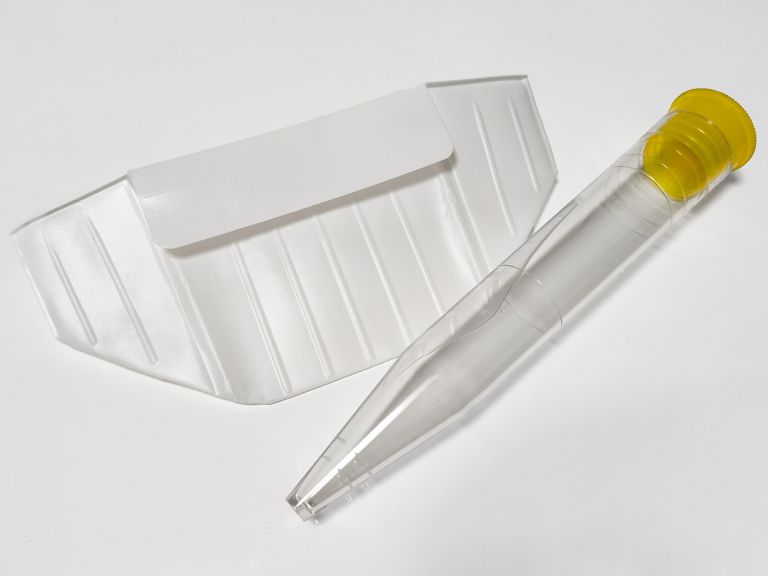 アメリカのワクチン接種と医療改革の展望